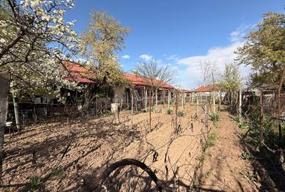 Casă individuală cu 3 camere cu Teren 915 Mp în Modelu - 13