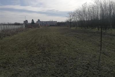 Teren intravilan de 5000 mp, în Jilava - 2