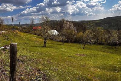 Teren de 2350 mp, în Surani - 5