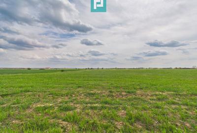 Teren agricol extravilan de 6150 mp, în Giroc - 1