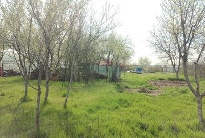 Spațiu comercial, în Stoenești - 6