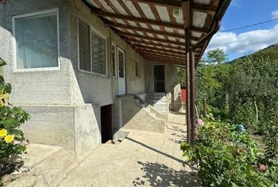 Vinzare casa Vinzare casa - 3