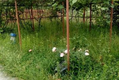 Casă cu 3 camere cu Teren 100 Mp în Mălureni - 7