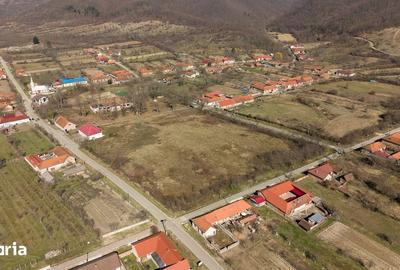 Casă cu 8 camere cu Teren 7235 Mp în Traian Vuia - 11