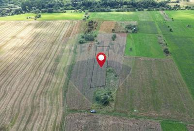 Teren agricol intravilan de 1180 mp, în Sud - 2