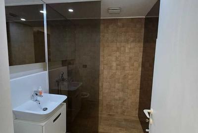 Aviatiei Herastrau Cortina North - 3