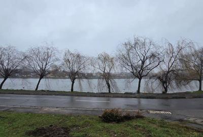 Casă individuală cu 4 camere cu Canalizare în Lacul Tei - 1