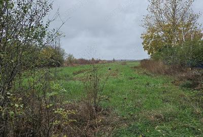 Comuna Butimanu (Decindea), Judet Dambovita, teren intravilan si extravilan - 1