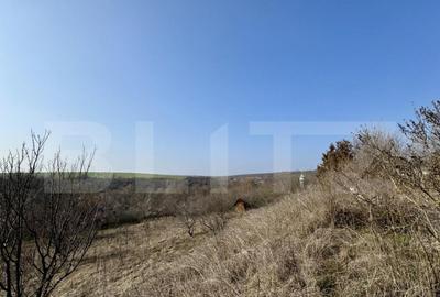 Conac cu teren intravilan 8759 mp, priveliste panoramica, Ci - 27