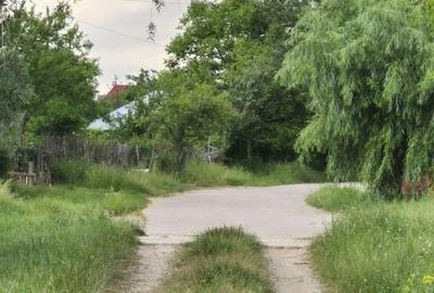 Teren intravilan langa pădure 1260 mp , deschidere 20 ml Prahova -Misl - 13