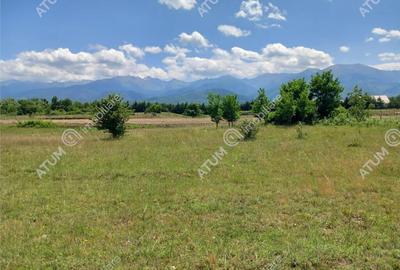 Teren intravilan 5000 mp pe Valea Avrigului, Sibiu - 1