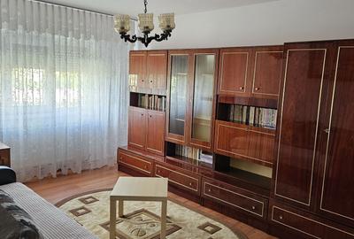 Apartament cu 2 camere decomandat în George Enescu - 2