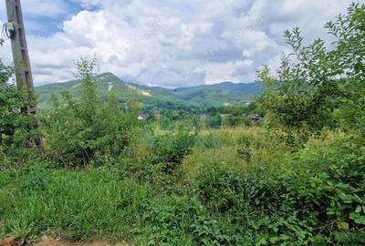 Teren de 5268 mp, în Baia Sprie - 5