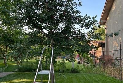 Teren Construcții intravilan de 883 mp, în Mehala - 9