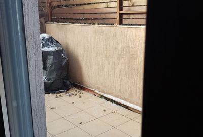 Apartament cu 2 camere decomandat în Băneasa - 3