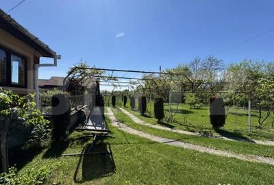 Casă cu 4 camere cu Teren 13000 Mp în Primăverii