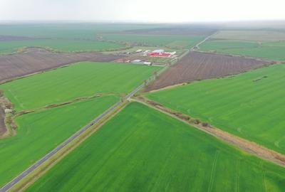 Teren industrial Dudestii Noi - 6