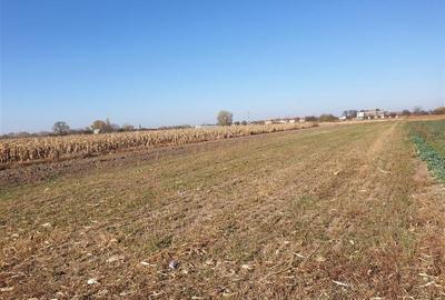 Teren intravilan in Bors cu front la 2 strazi. - 2