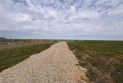 Teren de 500 mp, în Păușa - 3