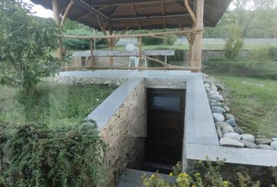 Casă cu 5 camere cu Teren 6700 Mp în Someșeni - 5