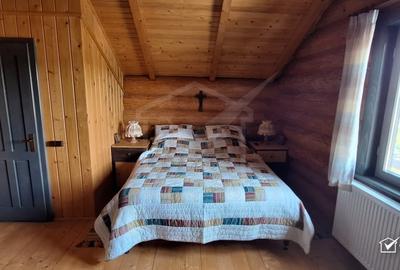 Inchiriere vila de lux, Campenesti dotari de exceptie - 12