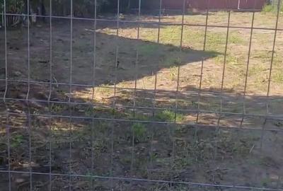 Teren de 1024 mp, în Schela - 1