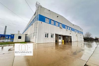 Hala Moderna 6200mp | Panouri Solare - Freidorf - Acces la Centura - 8