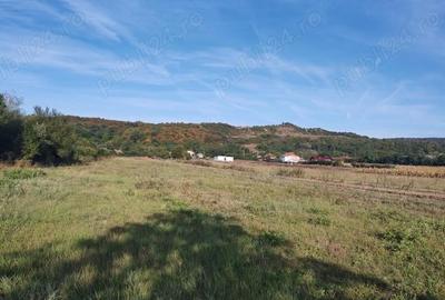 Teren în Mihăești - 1