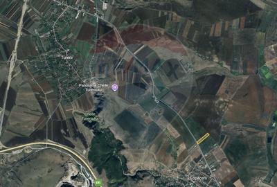 Teren 14,400 mp Turda, la drum national DN1 - 2
