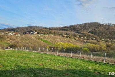 Teren intravilan cu proiect constructie casa, situat in Mintia - 10