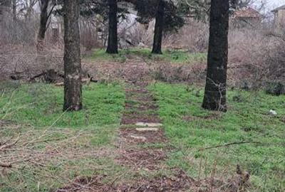 Teren de 11173 mp, în Central