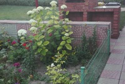 Casă individuală cu 3 camere cu Teren 1400 Mp în Corbu - 11