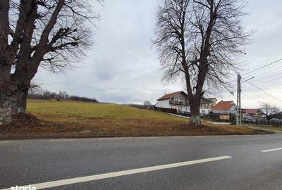 Teren de 7000 mp, în Agapia - 2