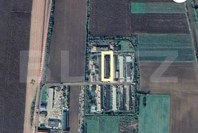 Hala Industriala in Localitatea Botiz - 1200 mp