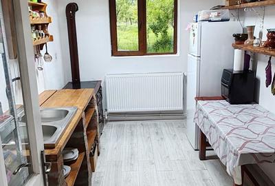 Casă cu 4 camere în Vărădia de Mureș - 6