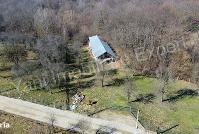 Casă cu 3 camere în Cerbu - 12