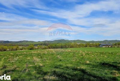 Teren de 10000 mp, în Vânători-Neamț - 2