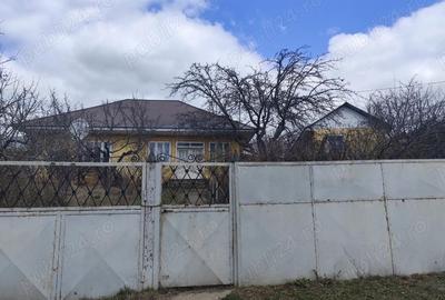 Casă cu Teren 4800 Mp în Stoișești - 2