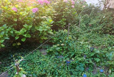 Casa 2 camere singur in curte zona Centrul Istoric - 12