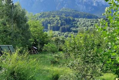 Spațiu comercial, de 980 mp, în Zărnești - 17