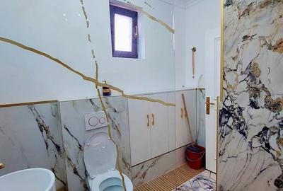 Casa S+P+1+Pod  , 5 Camere  Strada Silvia, Doamna Ghica - 36