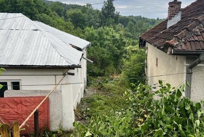 Spațiu comercial, în Provița de Jos