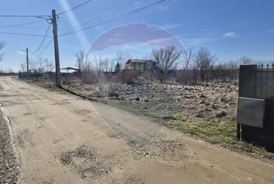 Teren de Vanzare in Gulia - Tartasesti | 2.760 mp | OPORTUNITATE! - 5
