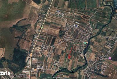 Teren de 10000 mp, în Jucu - 10