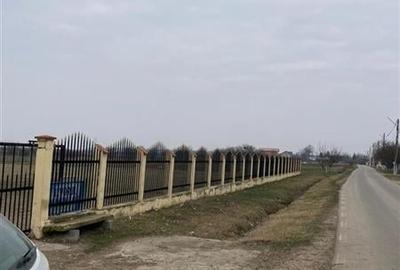 TEREN DE VANZARE  CIOCANESTI-DAMBOVITA 53.300 MP - 2