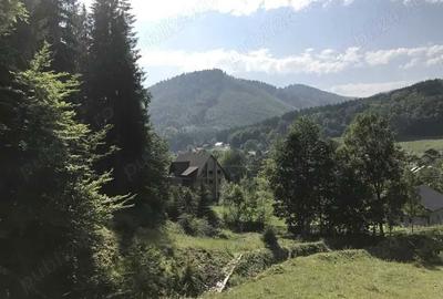 Spațiu comercial, în Vadu Negrilesei - 1