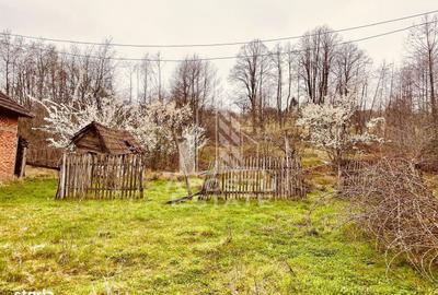 Casă cu 2 camere în Central - 13