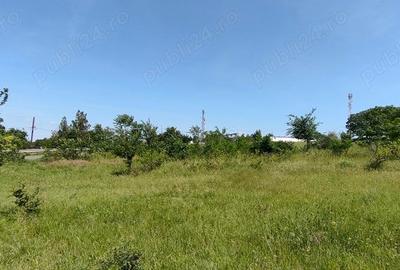 Teren de 925 mp, în Berceni - 2