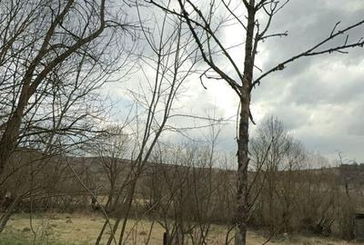 Casă cu 3 camere cu Teren 3500 Mp în Central - 9