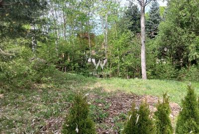 Teren agricol extravilan de 3000 mp, în Cârța - 4